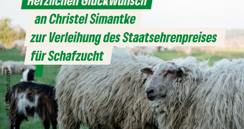 sharepic Staatsehrenpreis