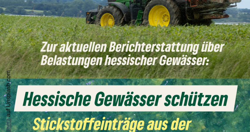 gewässer_düngung