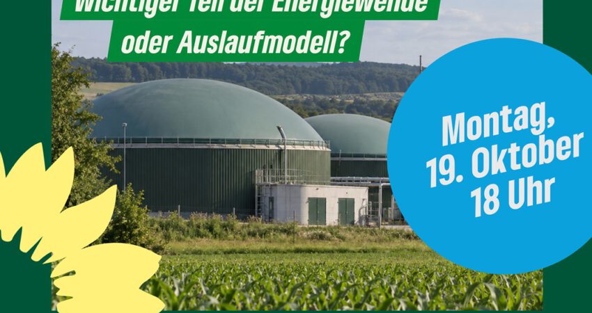 Zukunft Biogas Flyer klein